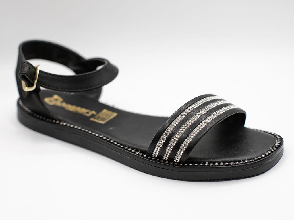 Bolonia 271